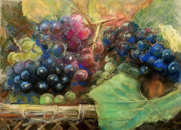 ブドウの絵とブドウの害虫 ポタジェ Jp ー 楽しいキッチンガーデニング 家庭菜園