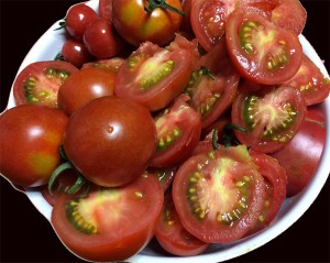 tomato todosokutei ato