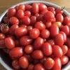 ほったらかし栽培のミニトマト収穫