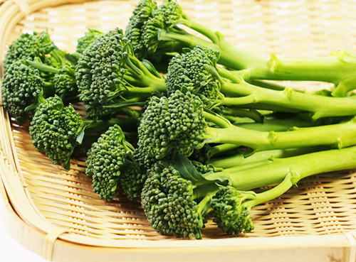 茎ブロッコリー　ステムブロッコリー　tender stem broccoli　